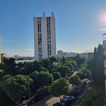 Papillon * Сплит